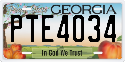 GA license plate PTE4034