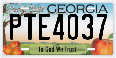 GA license plate PTE4037