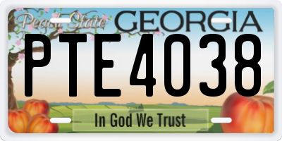 GA license plate PTE4038