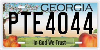 GA license plate PTE4044