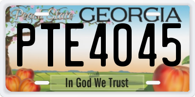GA license plate PTE4045