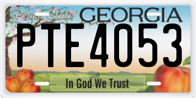 GA license plate PTE4053