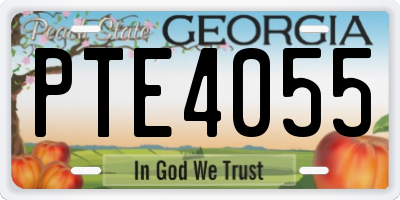 GA license plate PTE4055