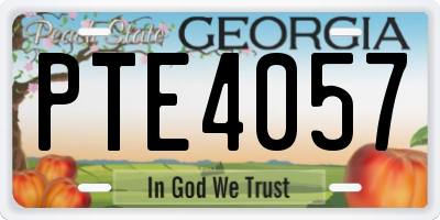 GA license plate PTE4057