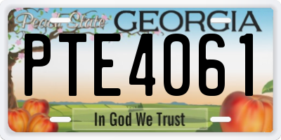GA license plate PTE4061