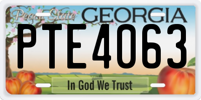 GA license plate PTE4063
