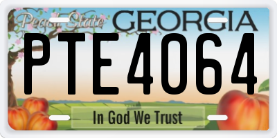 GA license plate PTE4064