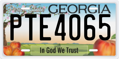 GA license plate PTE4065