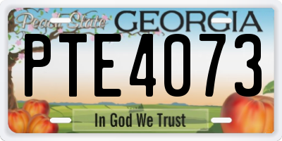 GA license plate PTE4073