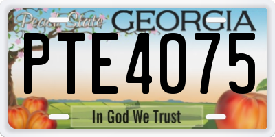 GA license plate PTE4075