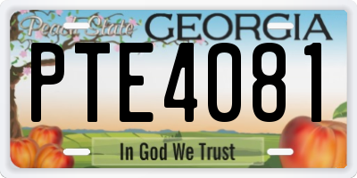GA license plate PTE4081