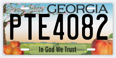 GA license plate PTE4082
