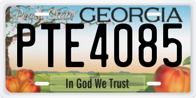 GA license plate PTE4085