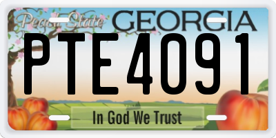 GA license plate PTE4091
