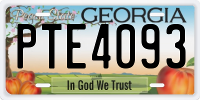 GA license plate PTE4093