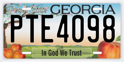 GA license plate PTE4098
