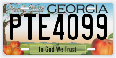 GA license plate PTE4099