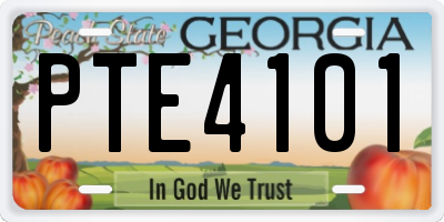 GA license plate PTE4101