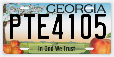 GA license plate PTE4105