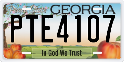 GA license plate PTE4107
