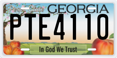 GA license plate PTE4110