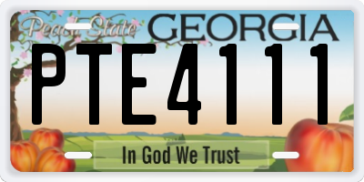 GA license plate PTE4111