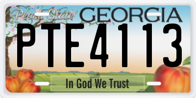 GA license plate PTE4113