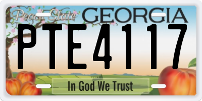 GA license plate PTE4117