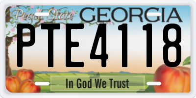 GA license plate PTE4118
