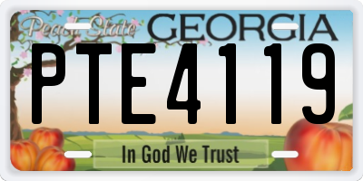 GA license plate PTE4119