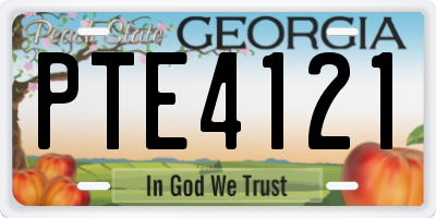 GA license plate PTE4121