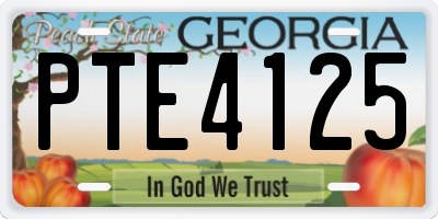 GA license plate PTE4125