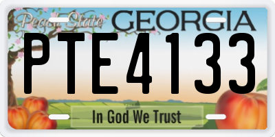 GA license plate PTE4133