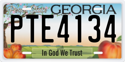 GA license plate PTE4134