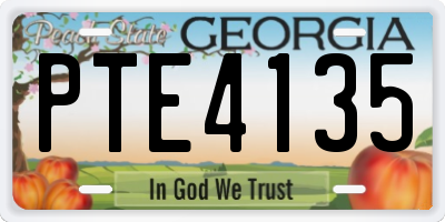 GA license plate PTE4135