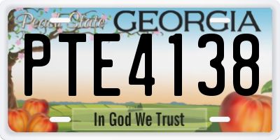 GA license plate PTE4138