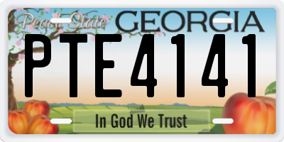 GA license plate PTE4141