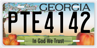 GA license plate PTE4142