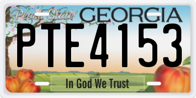 GA license plate PTE4153
