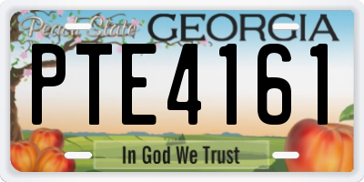 GA license plate PTE4161