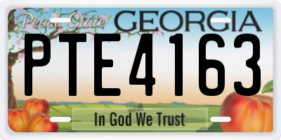GA license plate PTE4163