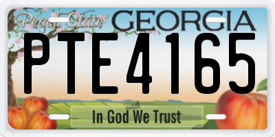 GA license plate PTE4165