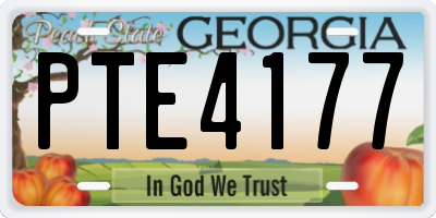 GA license plate PTE4177