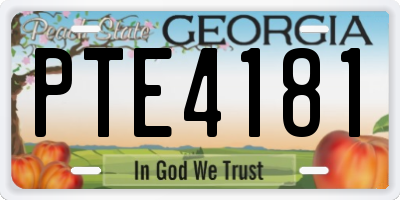 GA license plate PTE4181