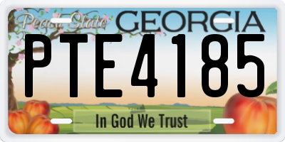 GA license plate PTE4185