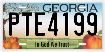 GA license plate PTE4199