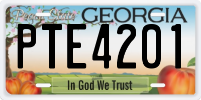 GA license plate PTE4201