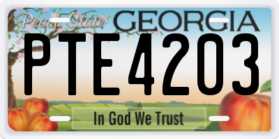 GA license plate PTE4203