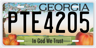 GA license plate PTE4205