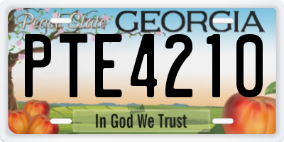GA license plate PTE4210